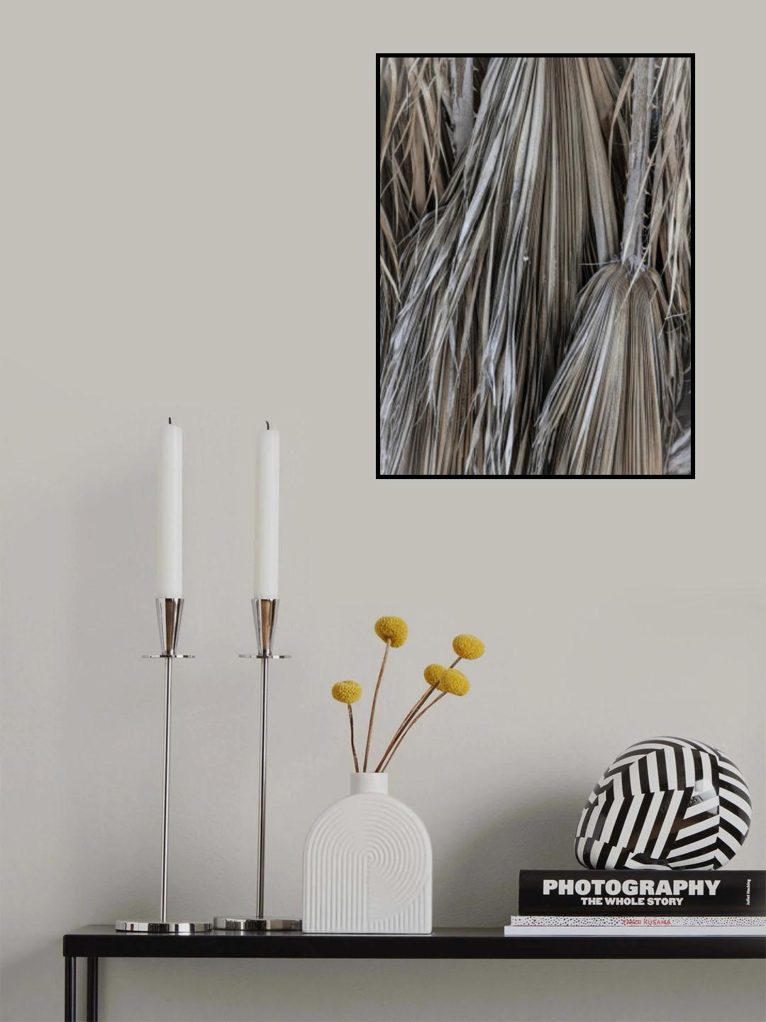 Desert Plam Poster och Canvastavla