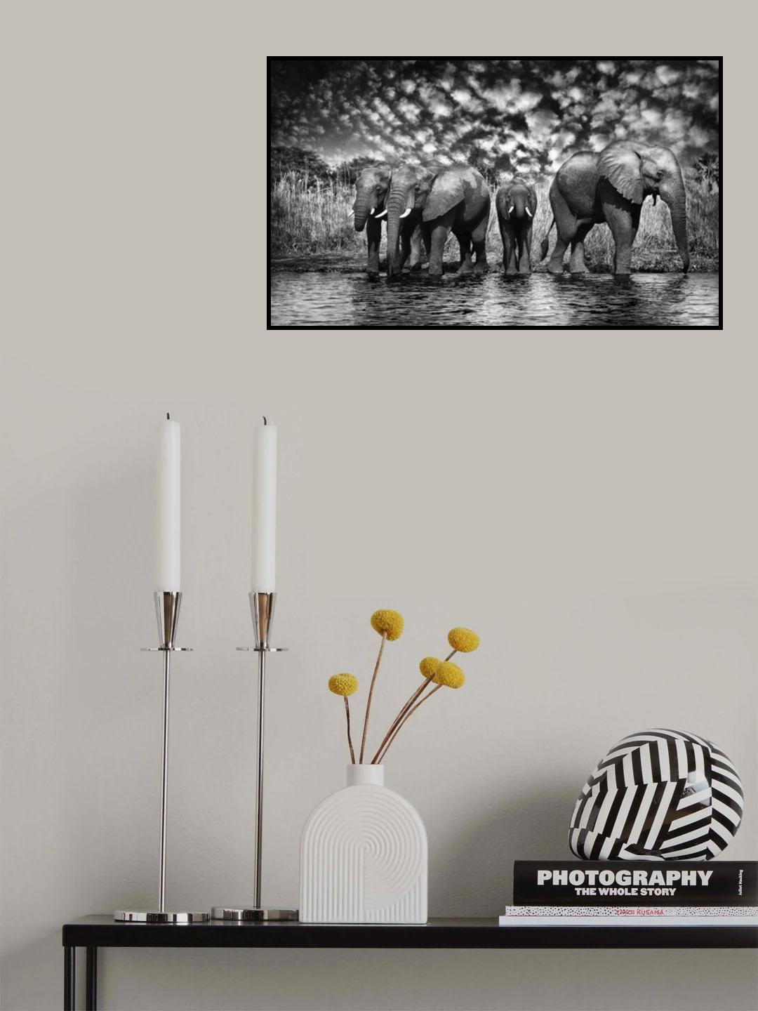 Poster och Canvastavla