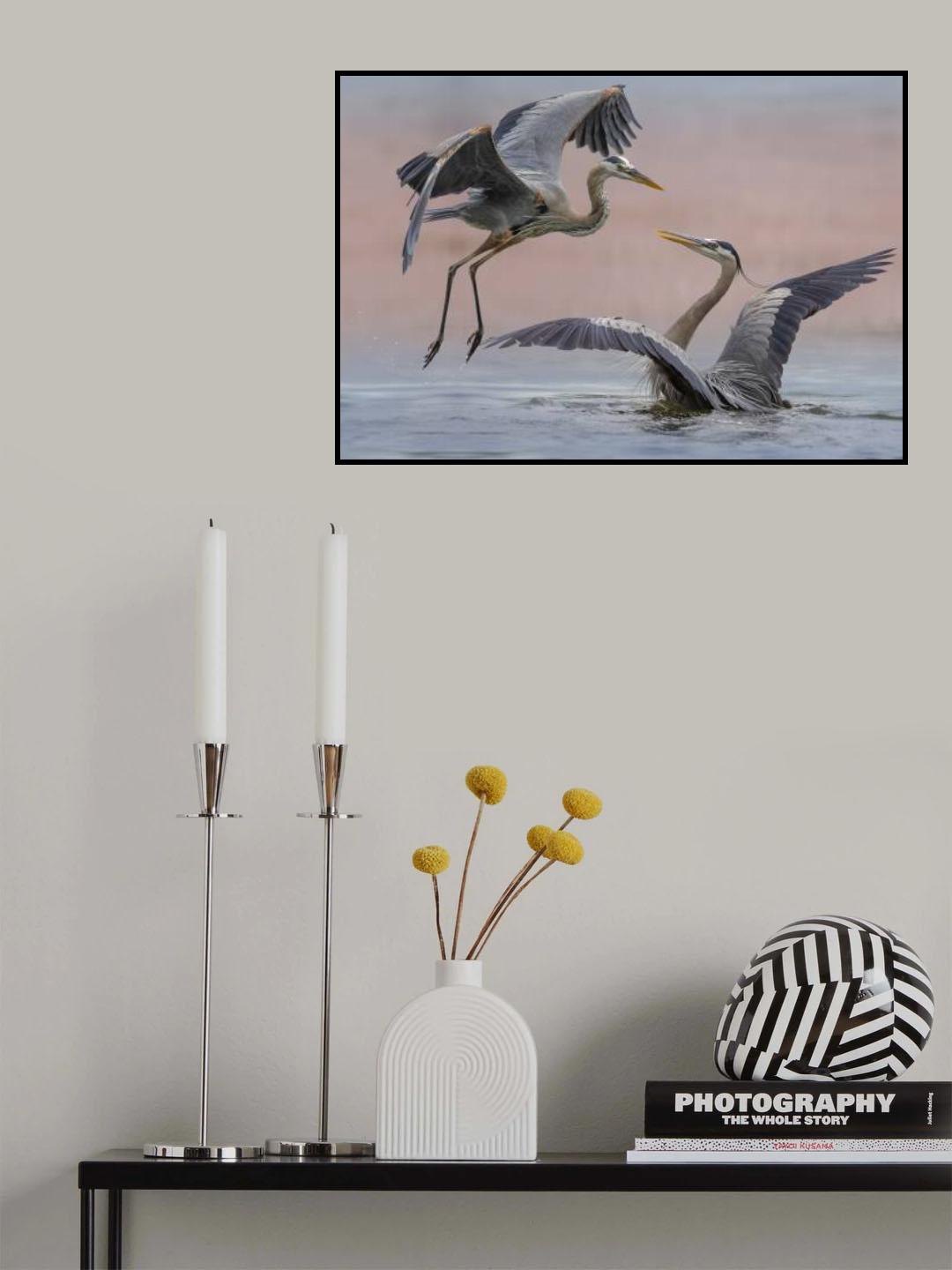 Startled Poster och Canvastavla