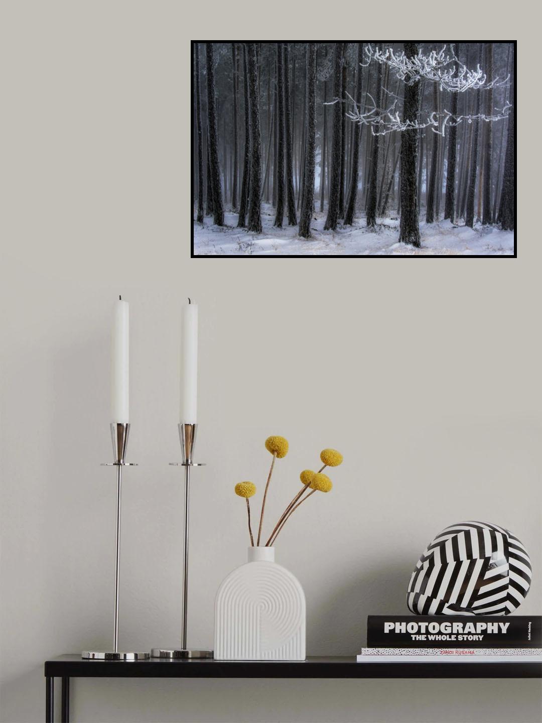 The trees has horns Poster och Canvastavla