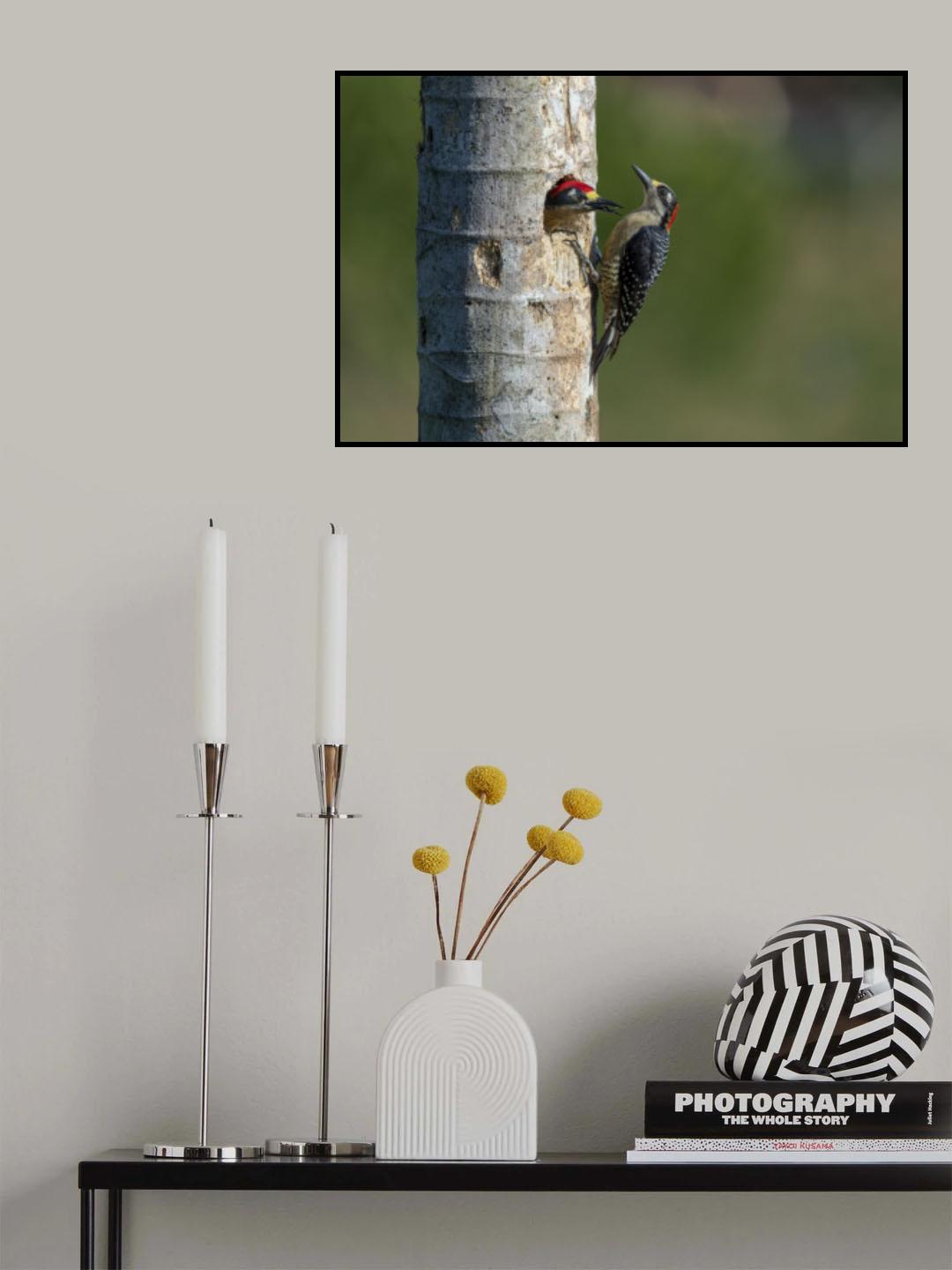 Lovers Poster och Canvastavla