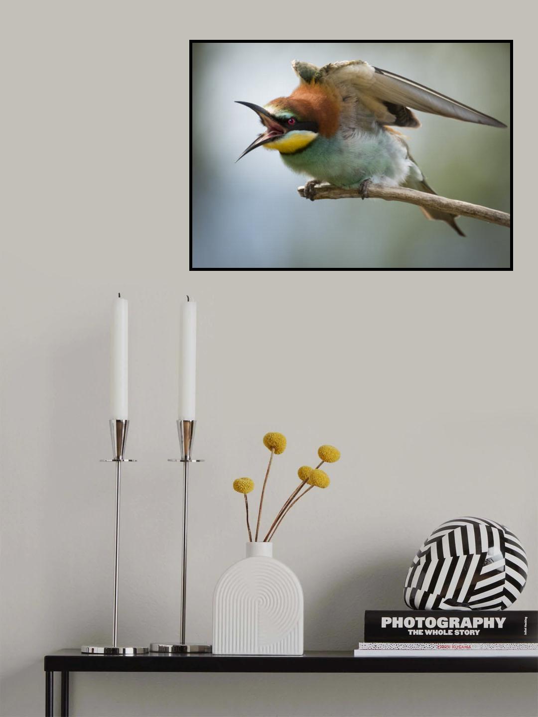 >°K Poster och Canvastavla
