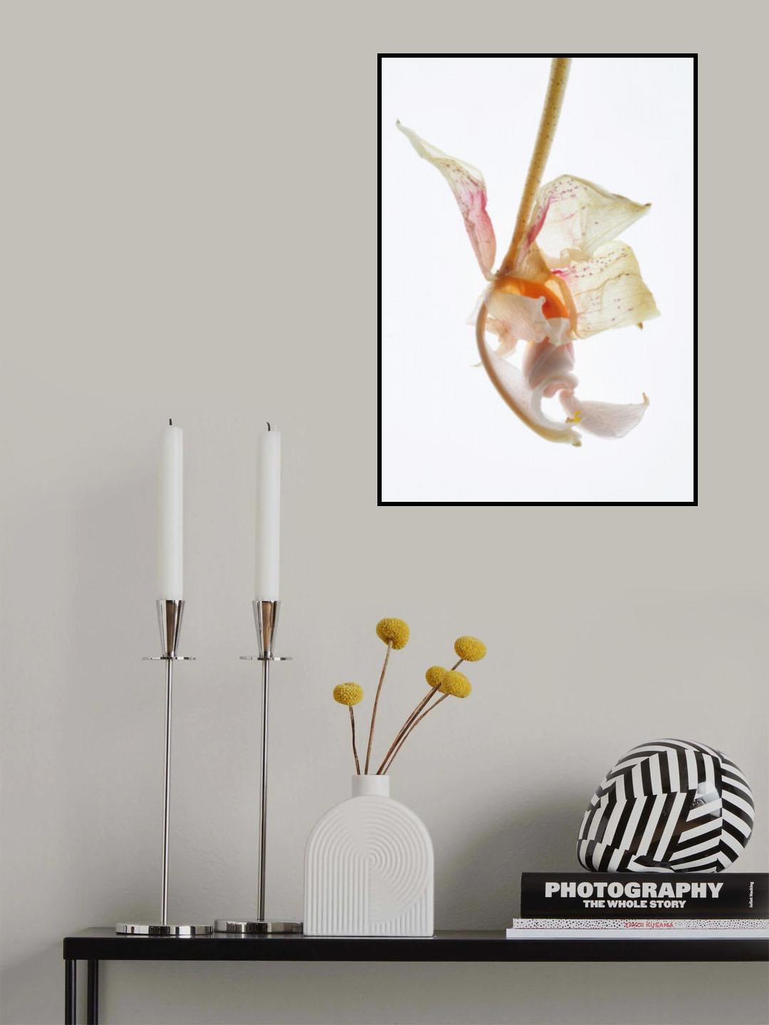 Arch Angle No2 Poster och Canvastavla