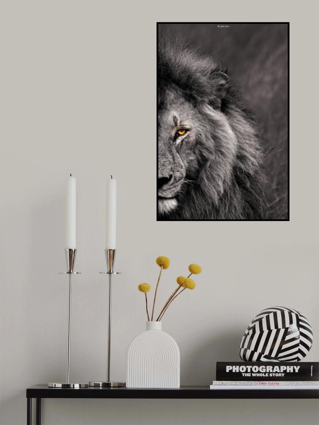 The King's Stare Poster och Canvastavla