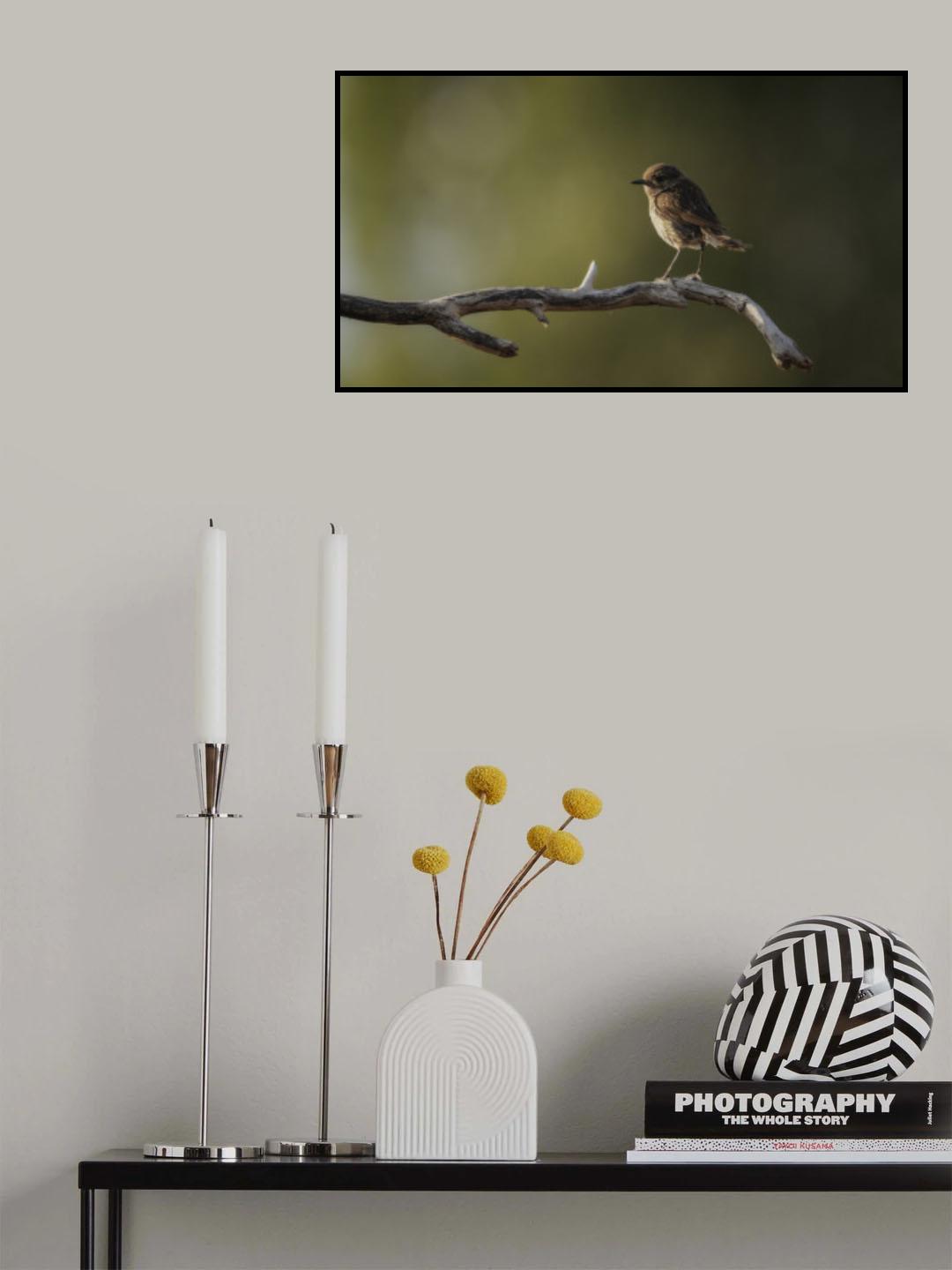 Tarier pâtre juvénile Poster och Canvastavla
