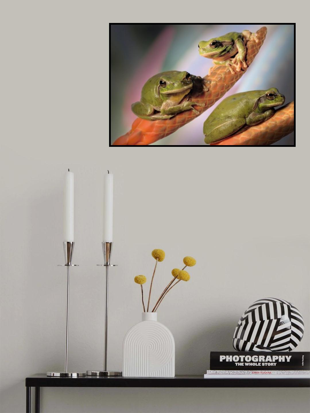 Treefrogs Poster och Canvastavla