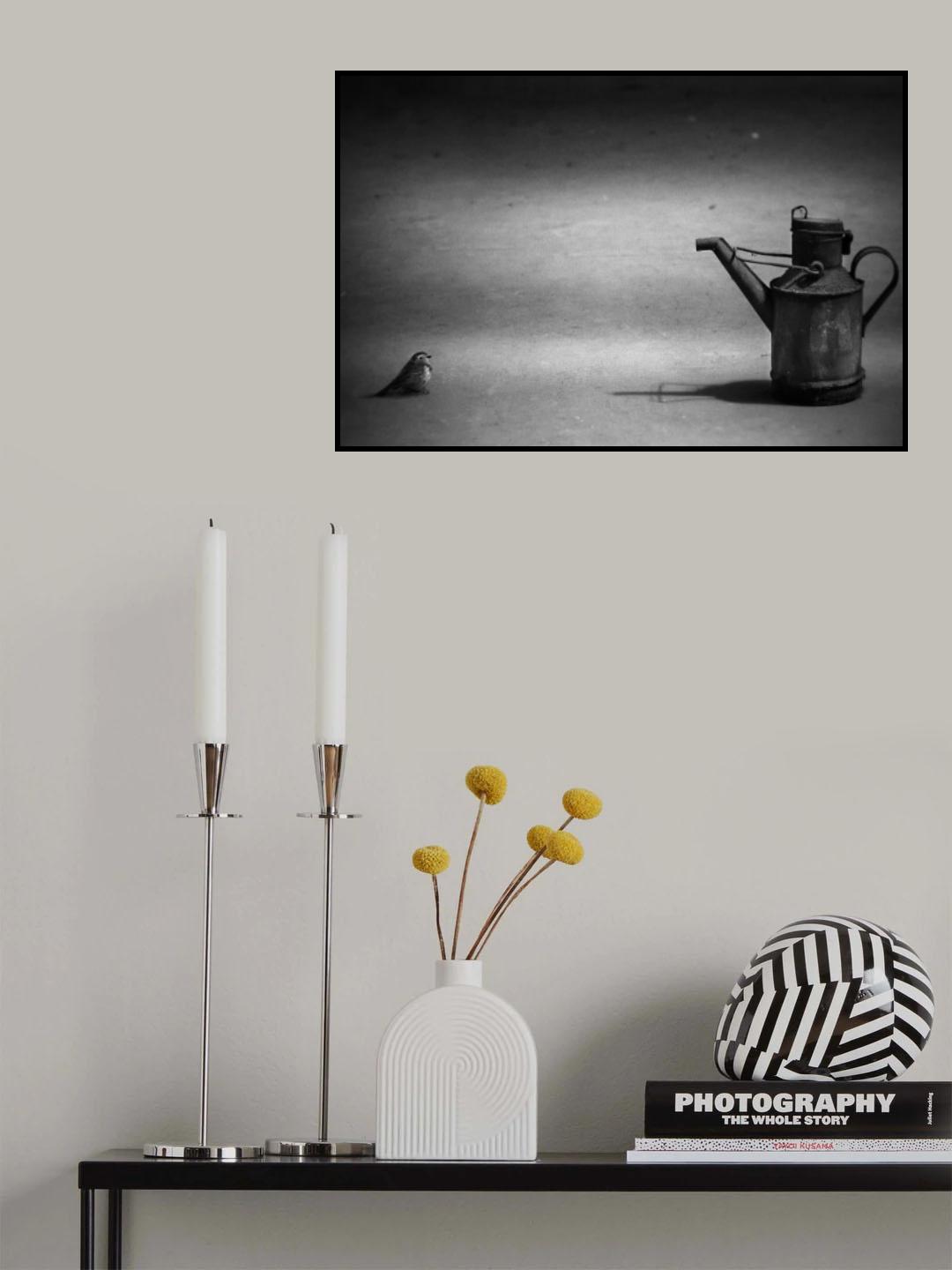 Stop , no Birds ! Poster och Canvastavla