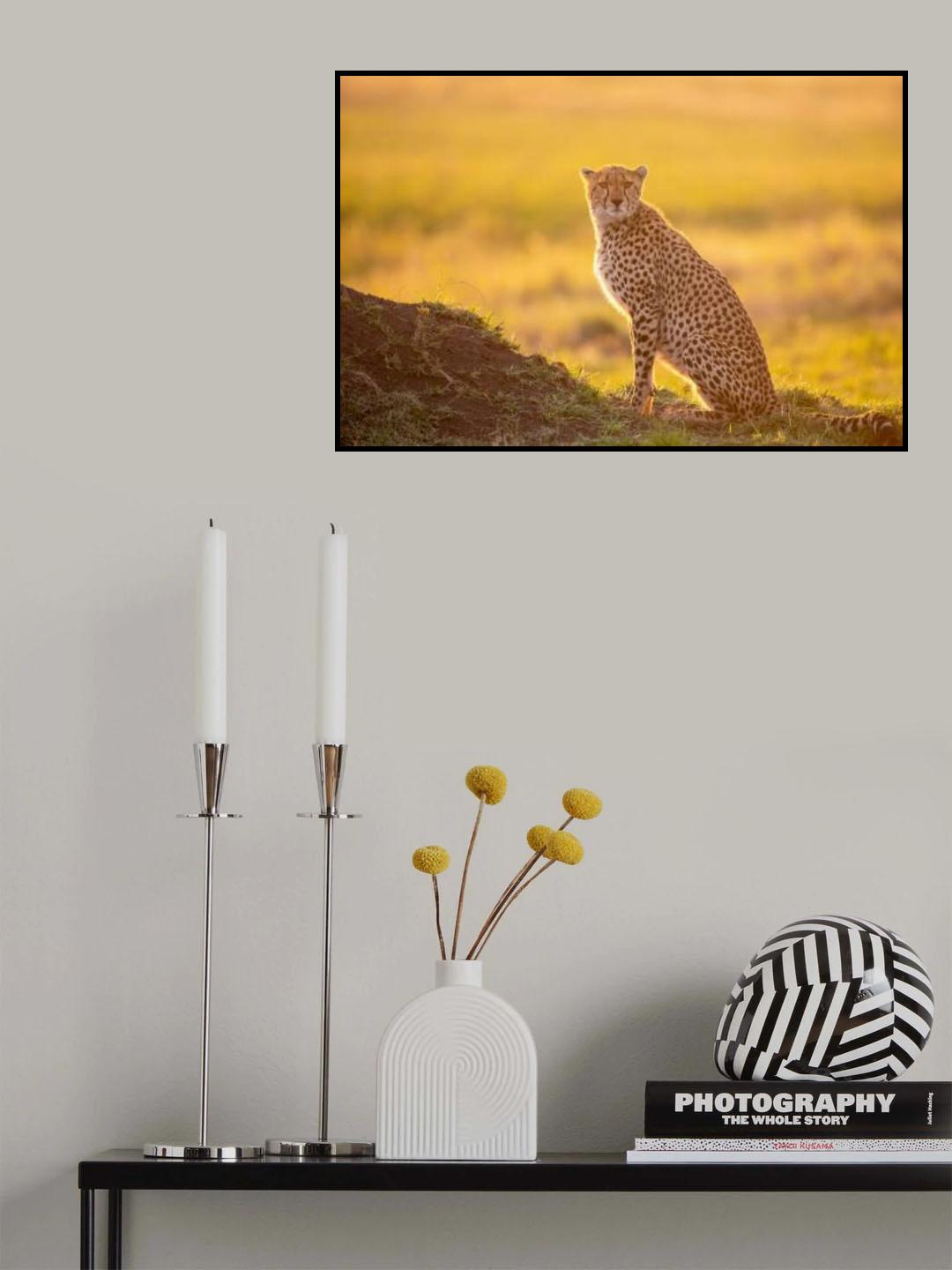 Magic Light Poster och Canvastavla