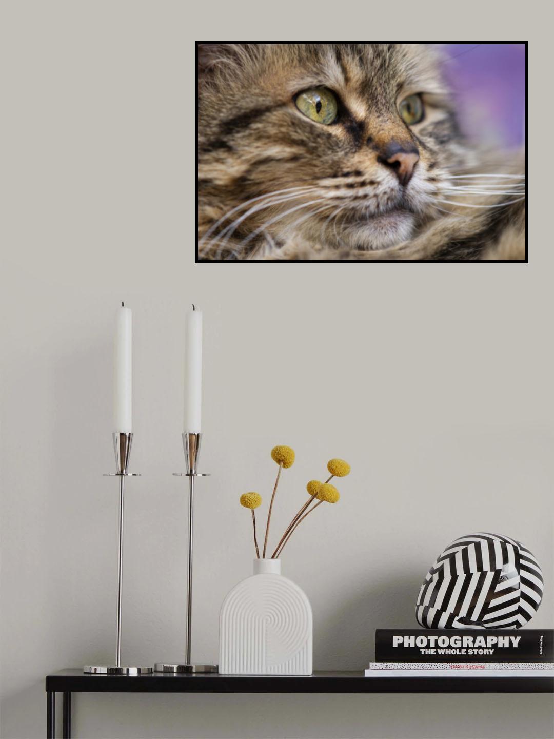 cute cat Poster och Canvastavla