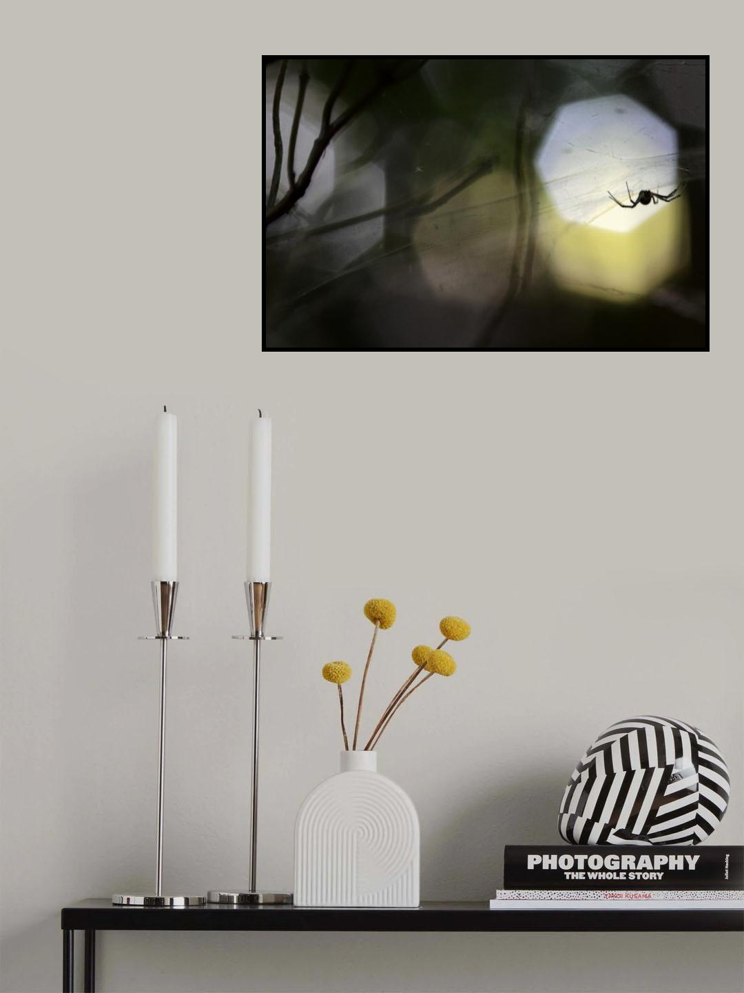 Come closer Poster och Canvastavla
