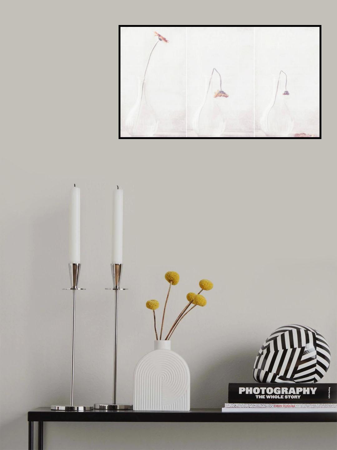 Ars longa, vita brevis... Poster och Canvastavla