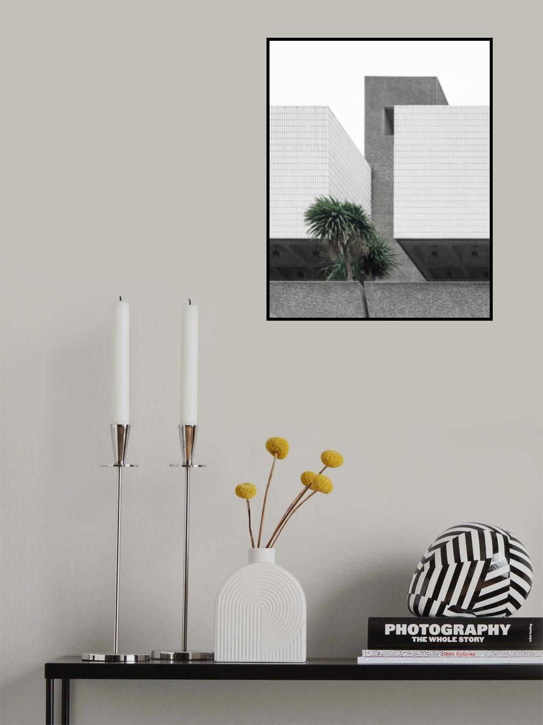 Lonely Palms Poster och Canvastavla