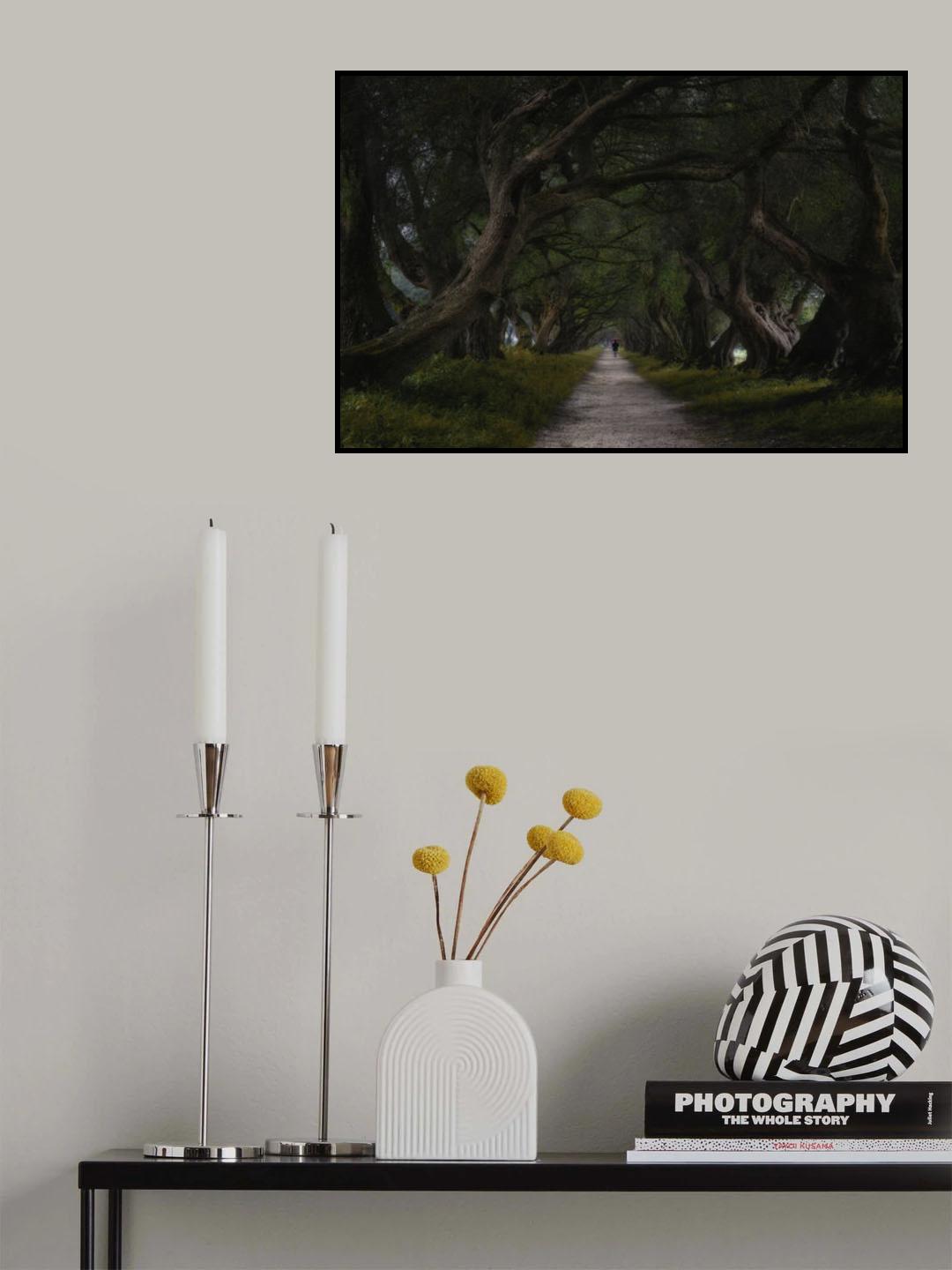 Los olivos walk Poster och Canvastavla