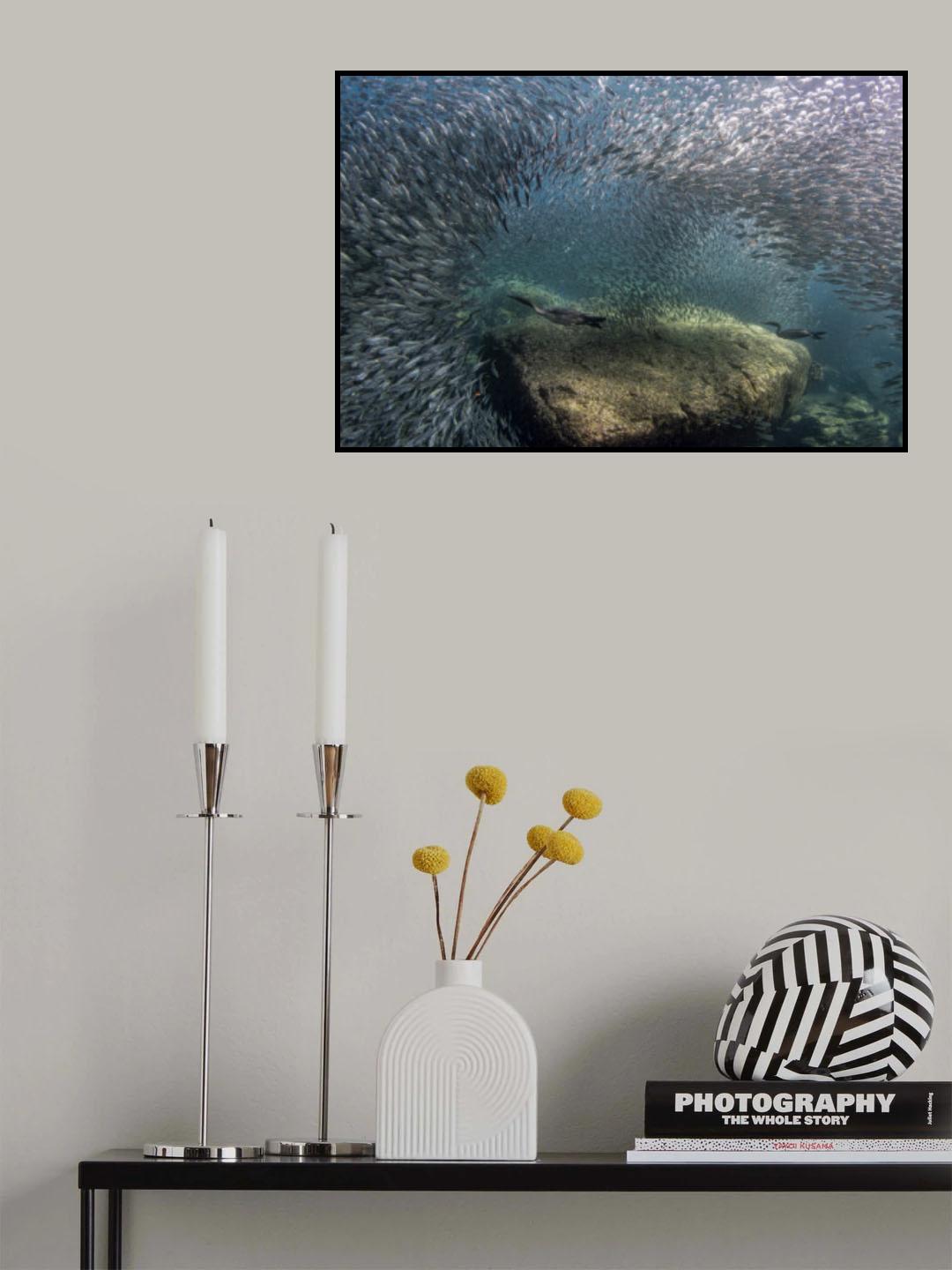 Cormorhunt Poster och Canvastavla