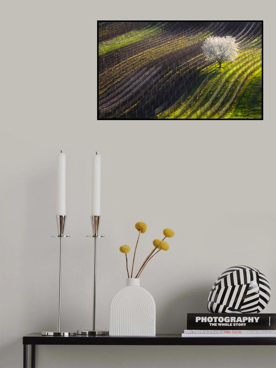 Strings of spring Poster och Canvastavla