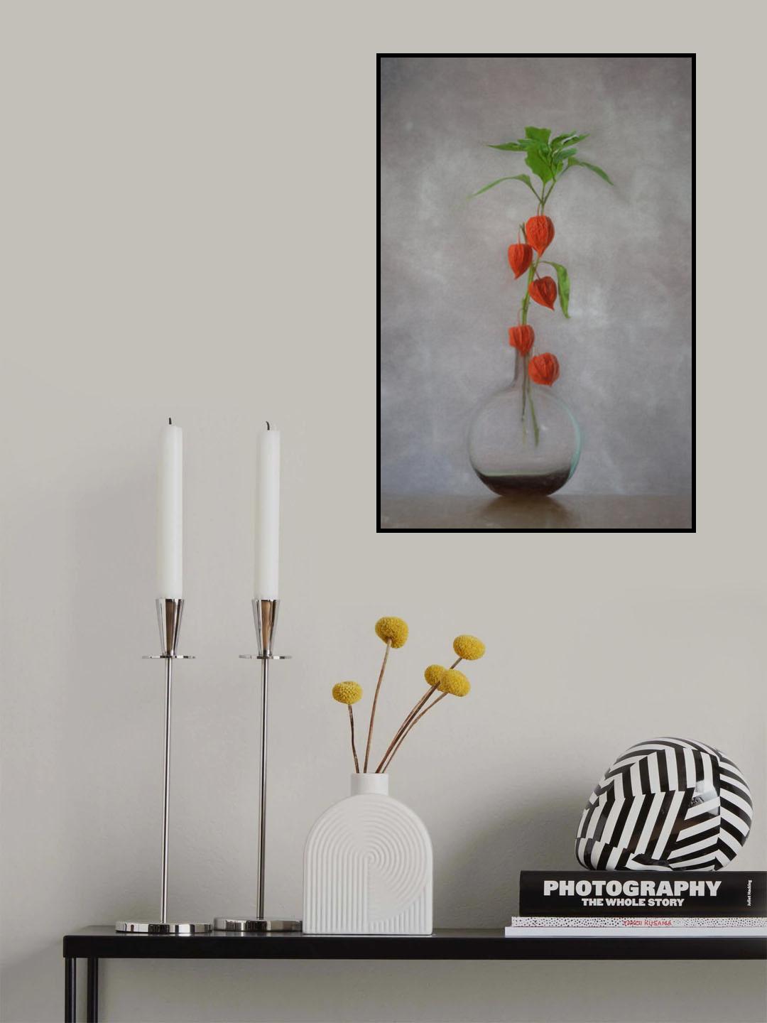 Chinese Lantern Poster och Canvastavla