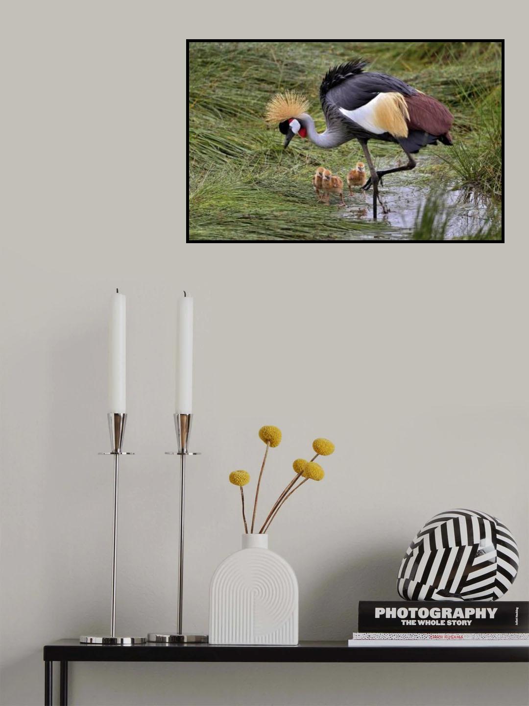 Crowned crane and its little ones Poster och Canvastavla