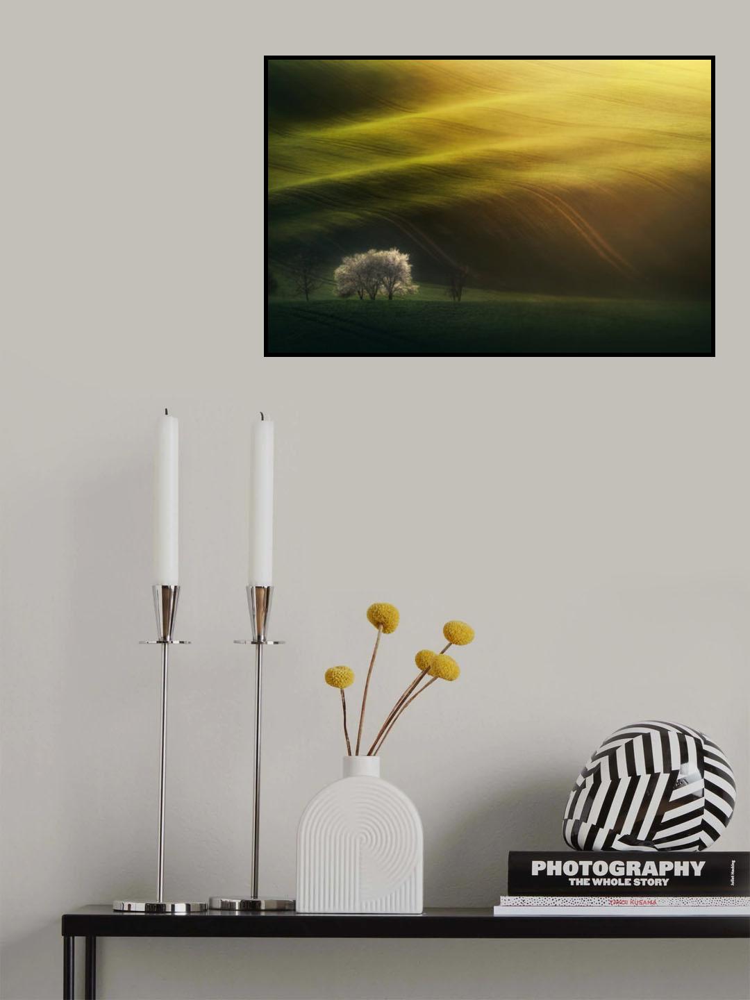 Last rays Poster och Canvastavla