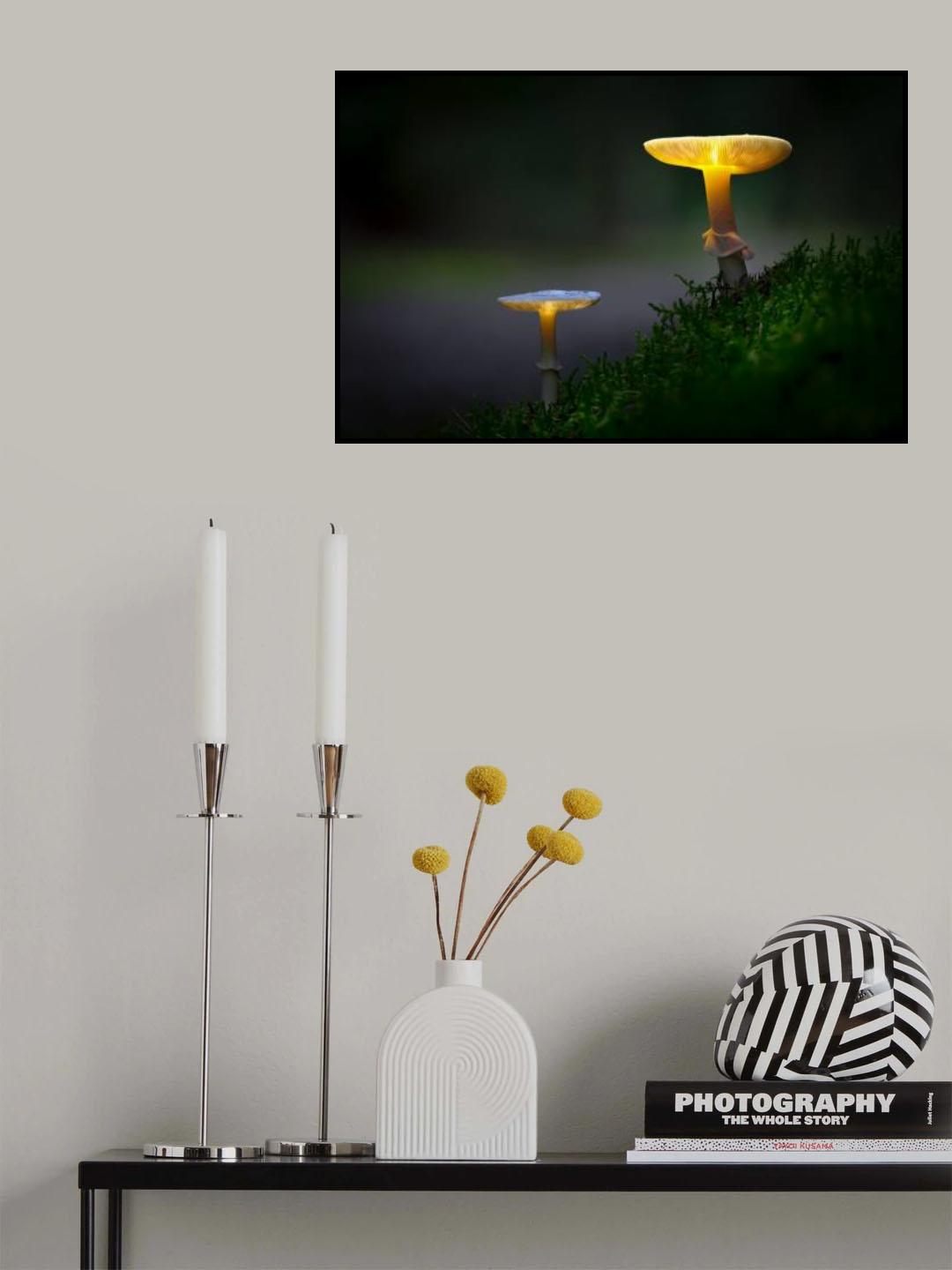 The mushrooms of the forest 03 Poster och Canvastavla