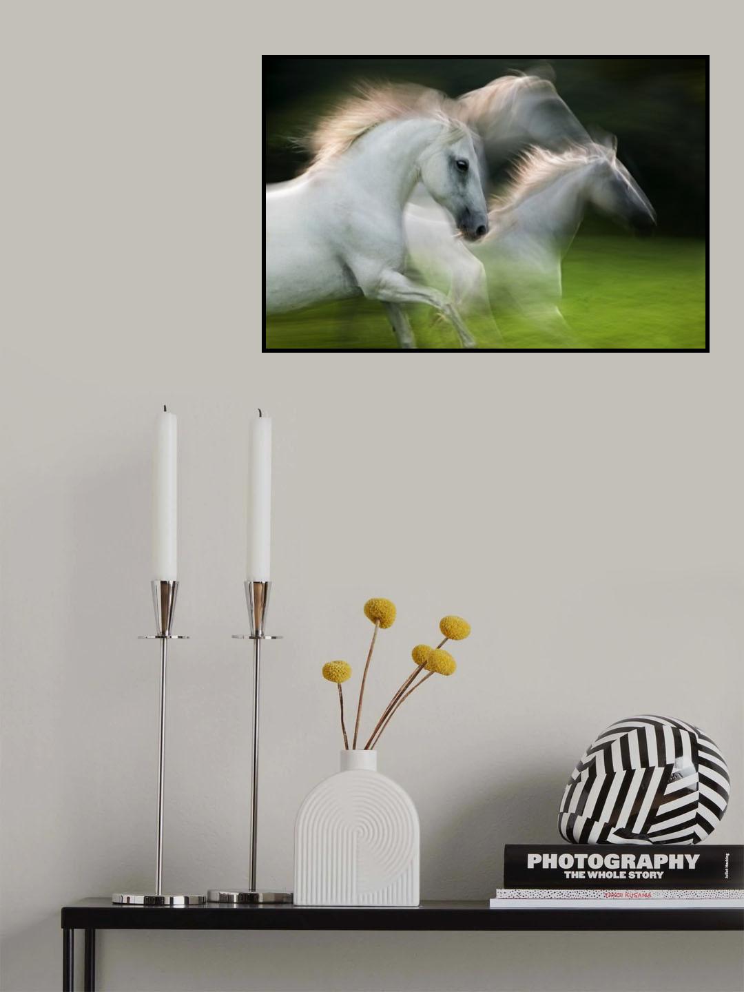 fly in the wind Poster och Canvastavla
