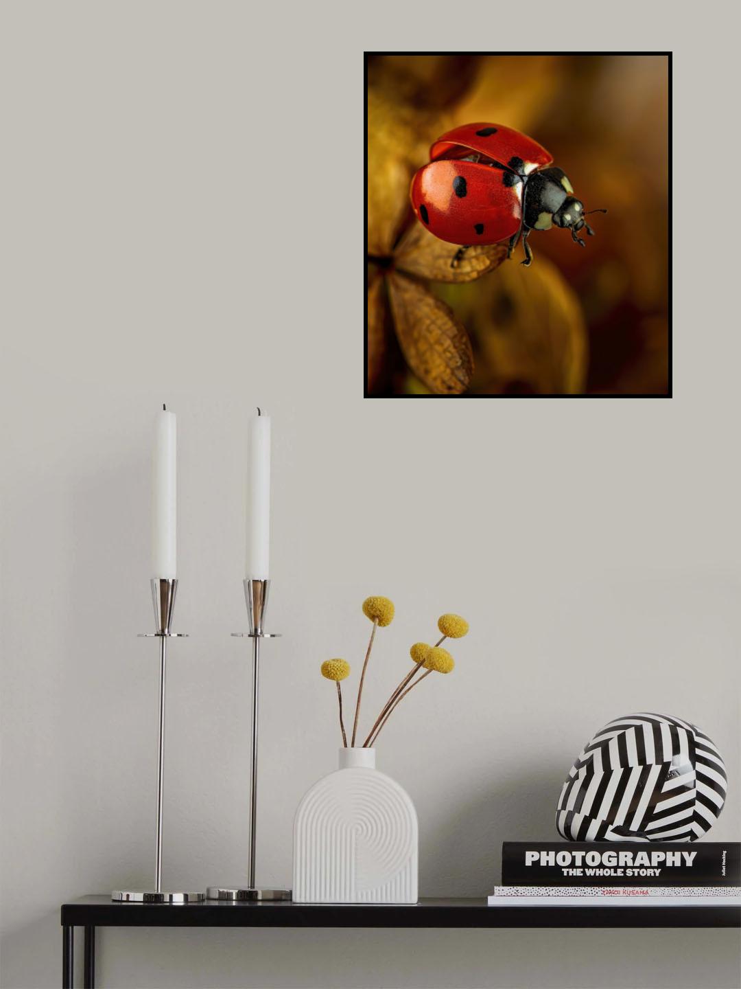 red Poster och Canvastavla