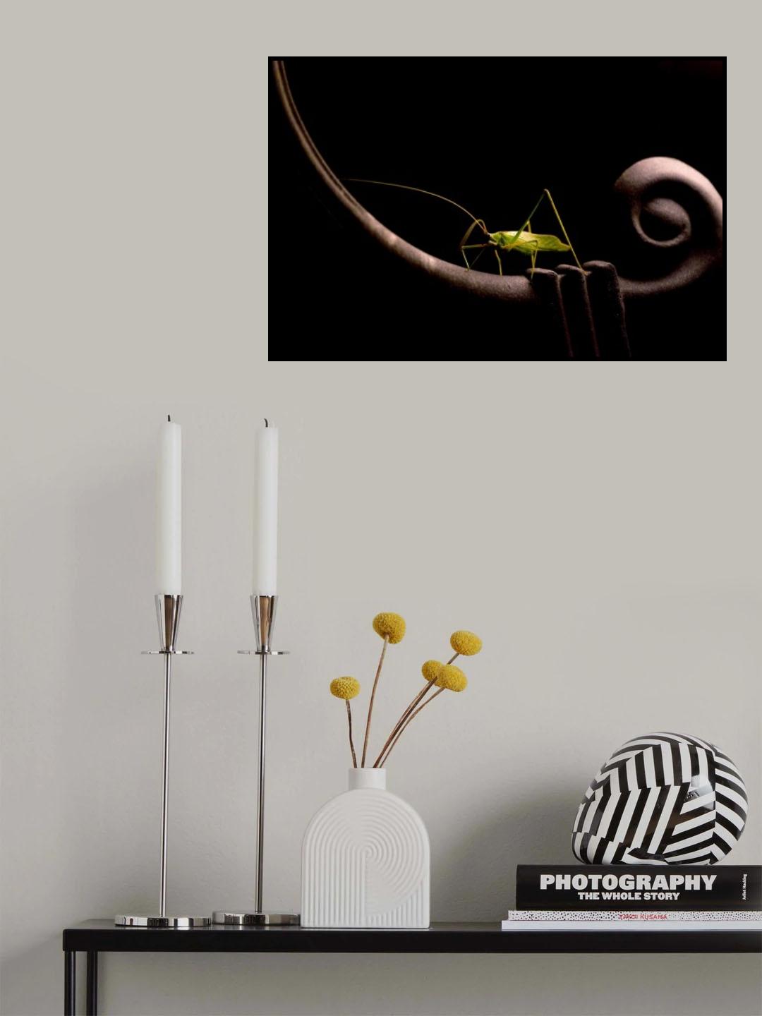 The night solist Poster och Canvastavla