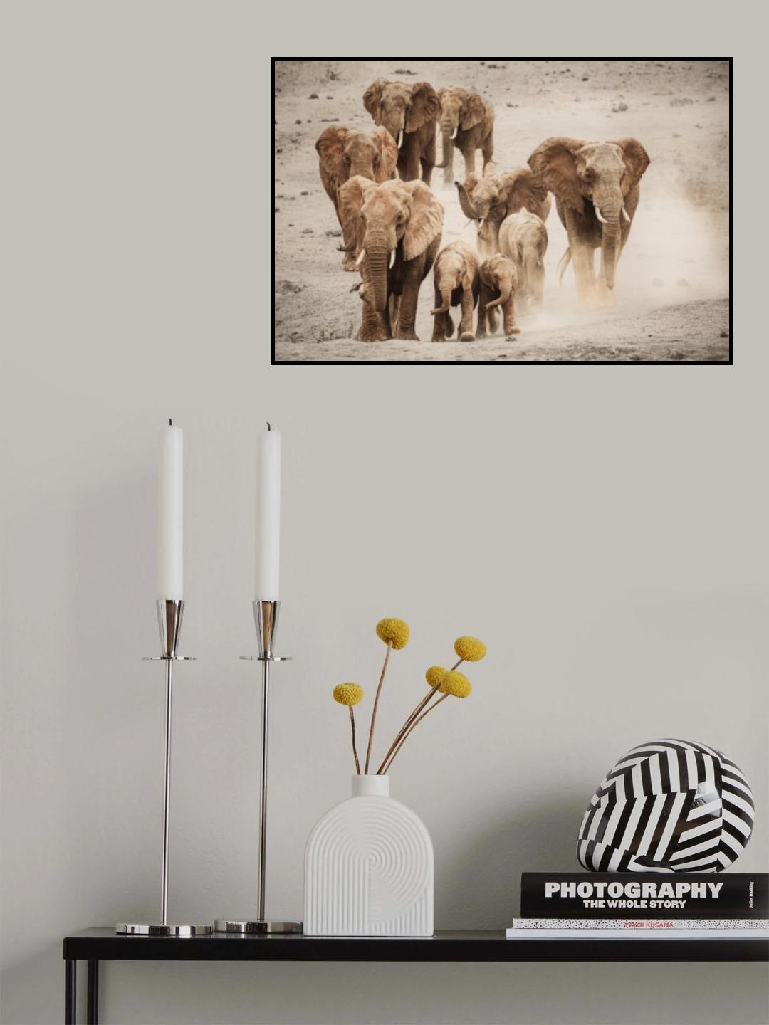 Rushing to the water! Poster och Canvastavla