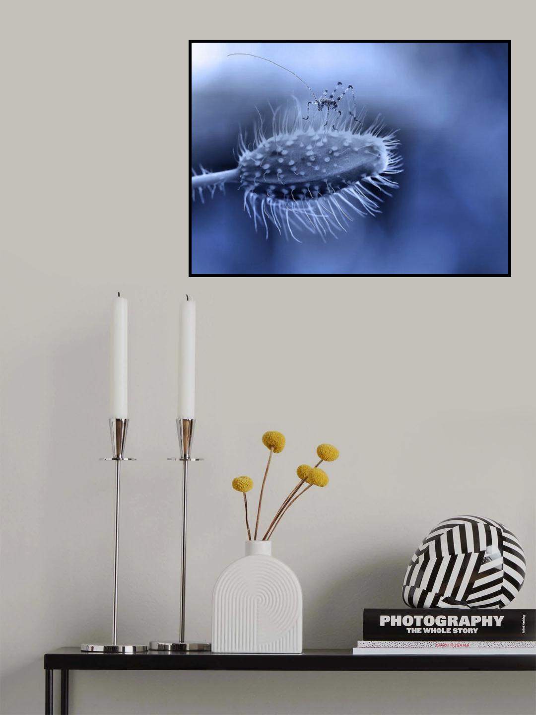 The little dancer... Poster och Canvastavla