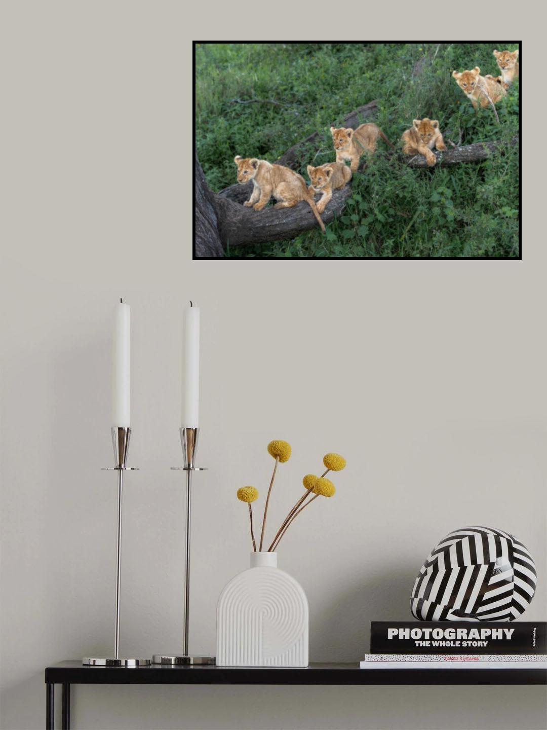 The first great adventure Poster och Canvastavla