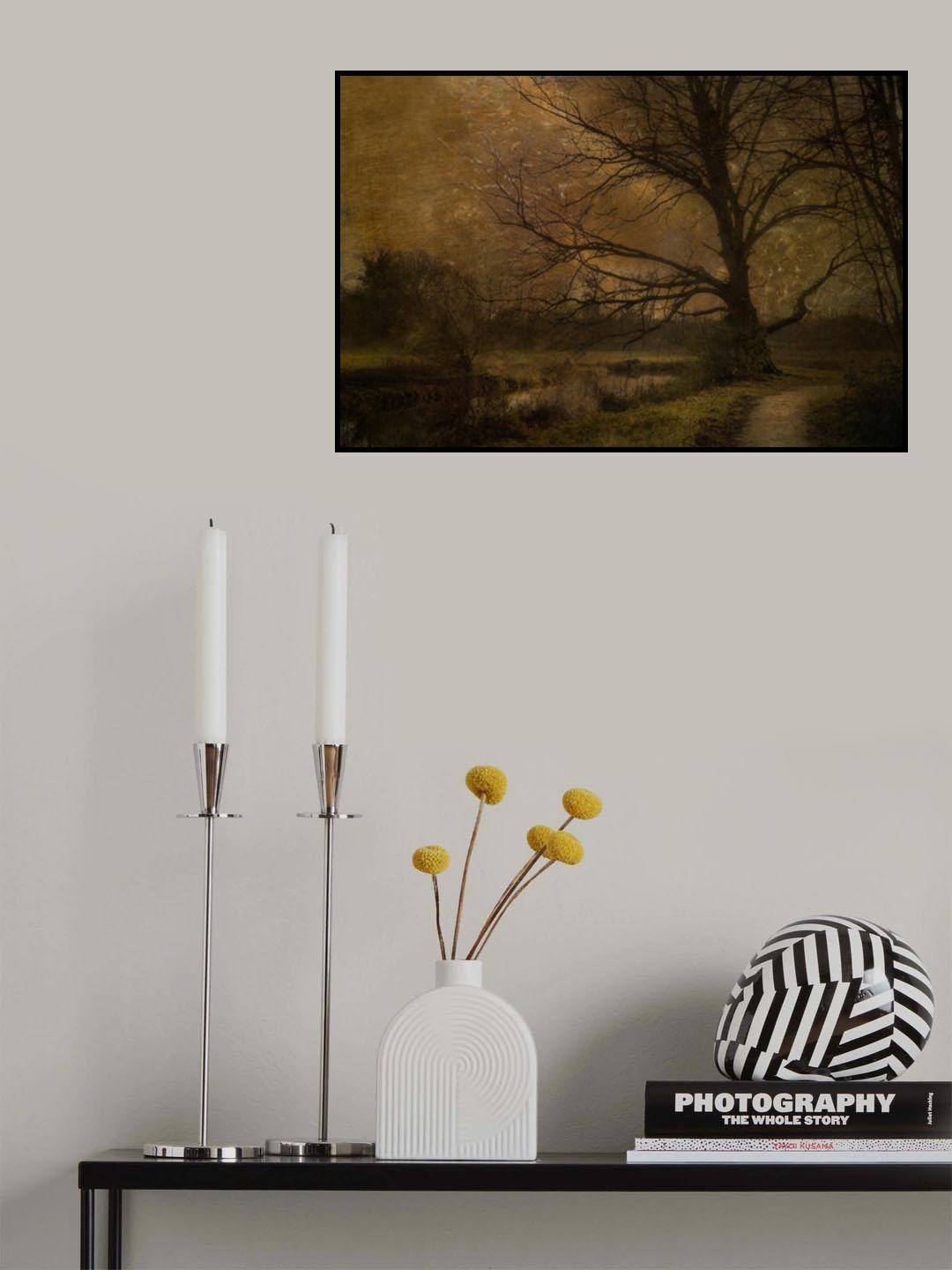 Old tree Poster och Canvastavla