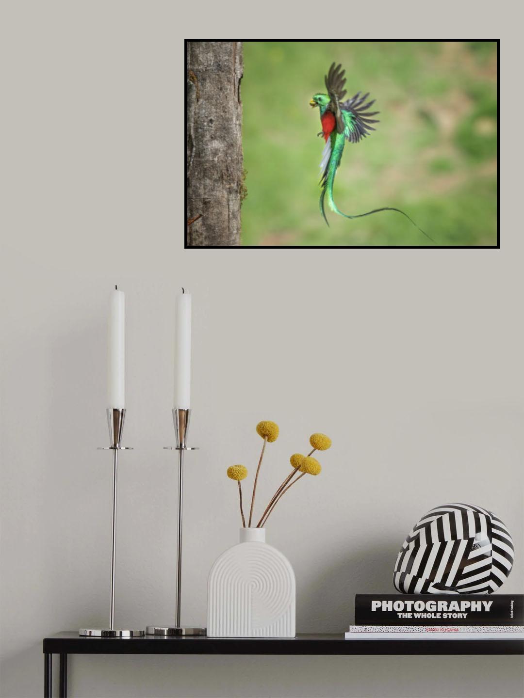 Beautiful daddy Poster och Canvastavla