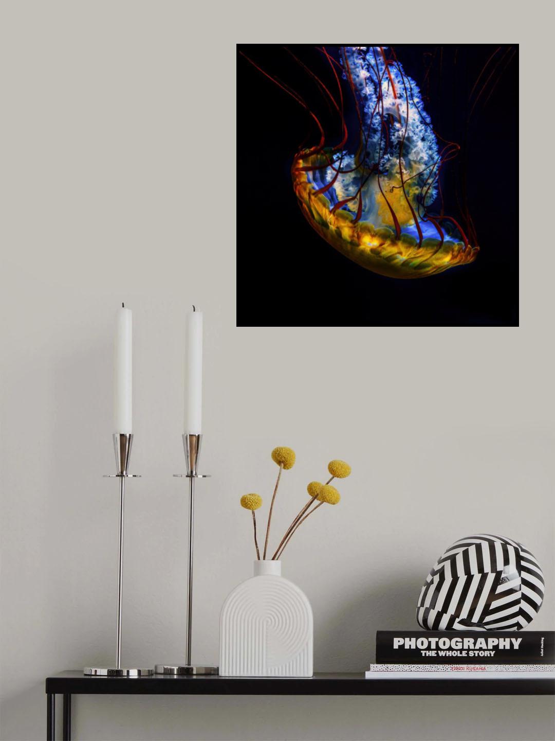 Jelly Poster och Canvastavla