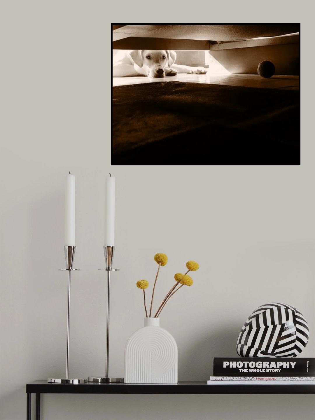 Desire Poster och Canvastavla