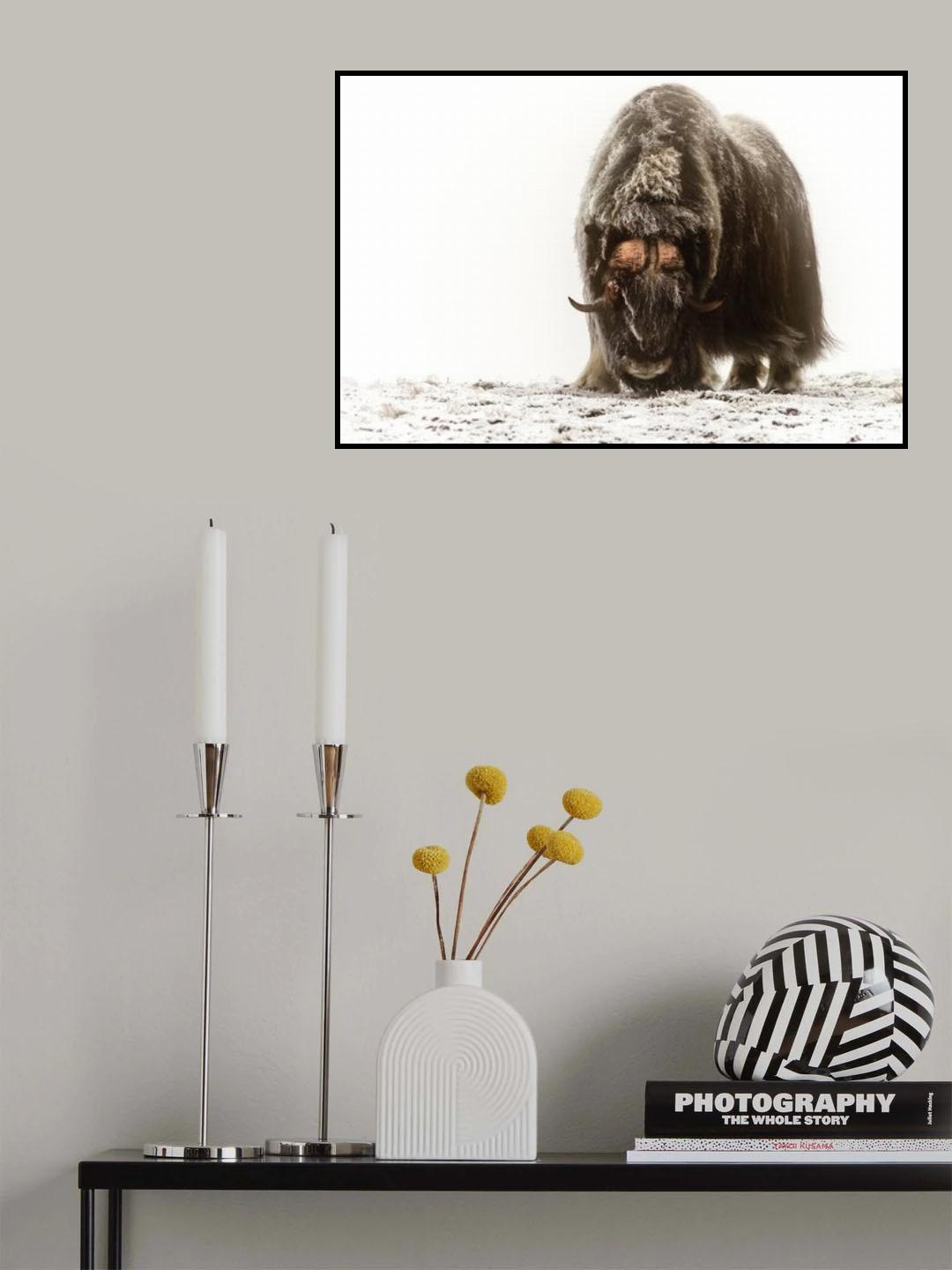 Between the fog and frost Poster och Canvastavla