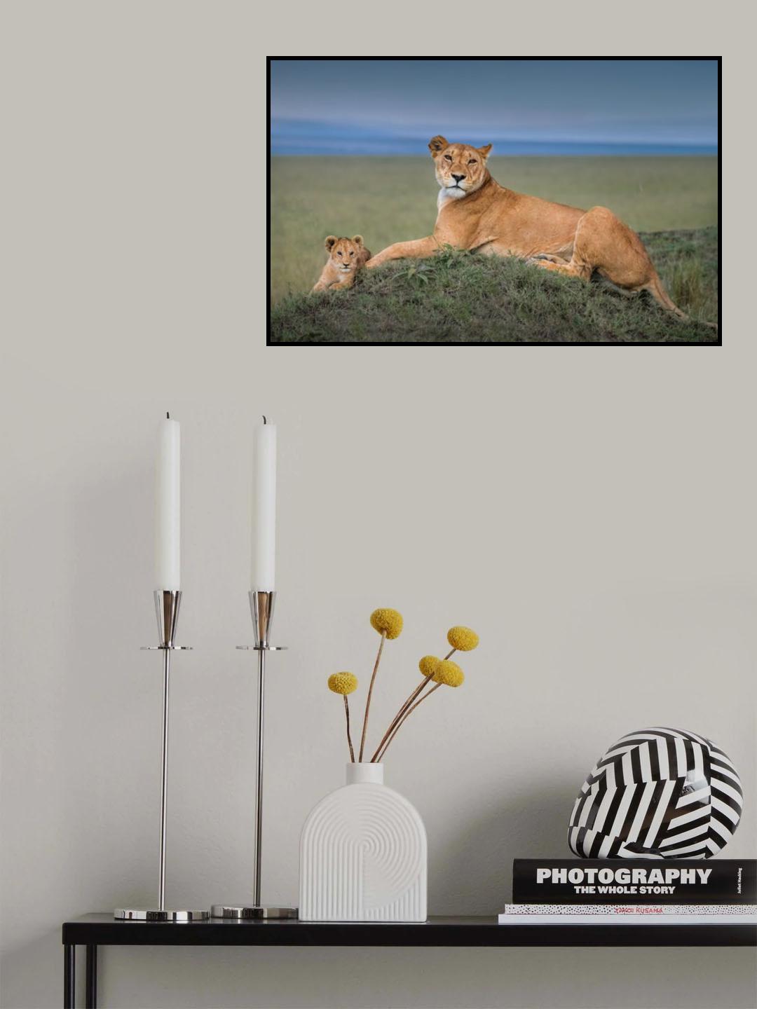 Rest with Cub Poster och Canvastavla