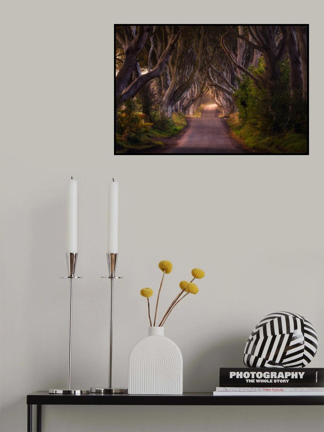 The Glowing Hedges Poster och Canvastavla