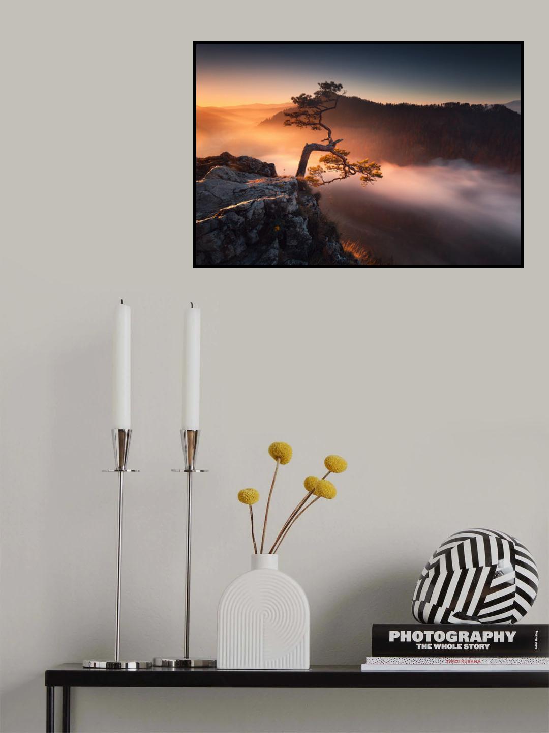 Sokolica Poster och Canvastavla