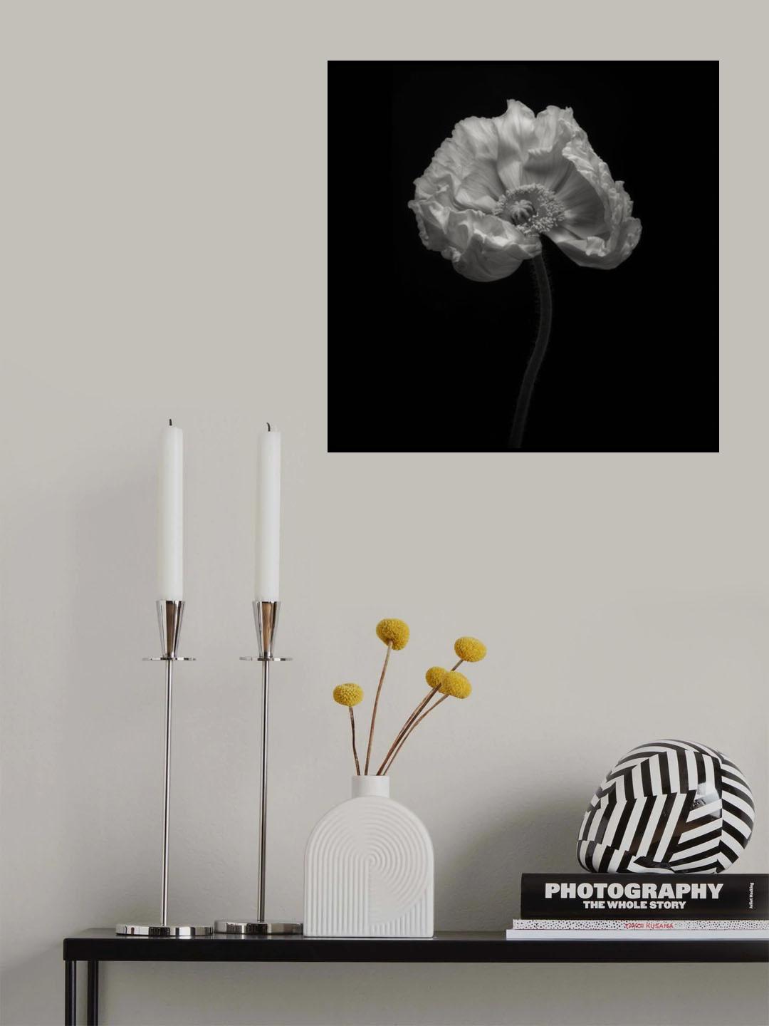 Poppy Poster och Canvastavla