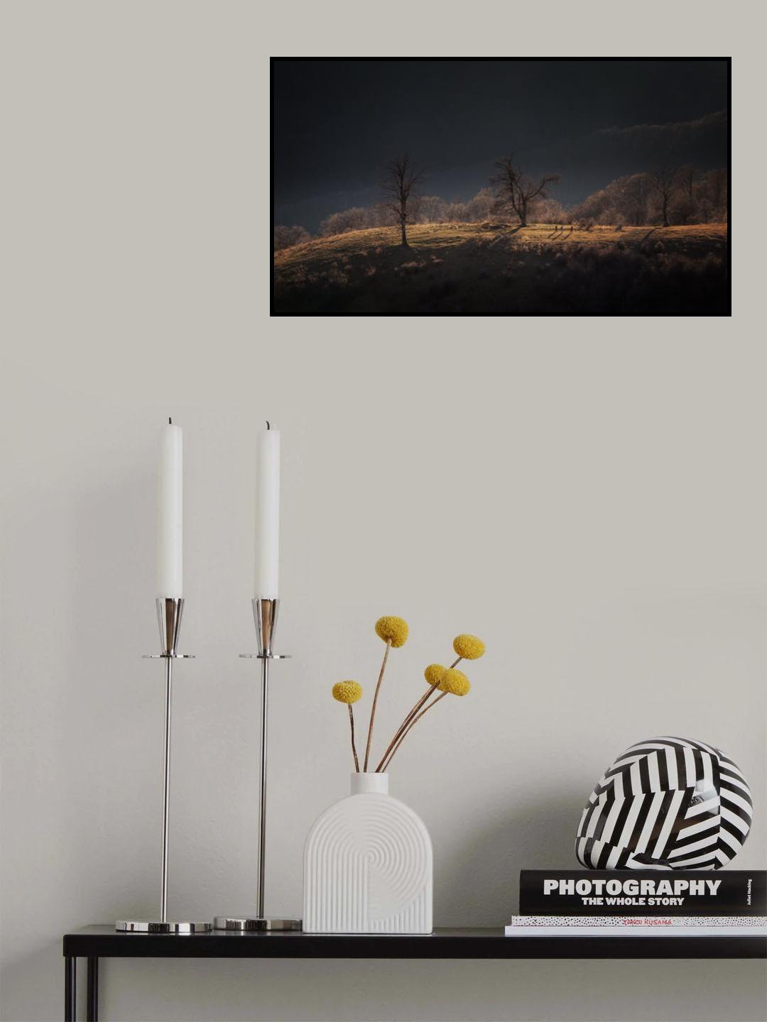 Sunset view Poster och Canvastavla