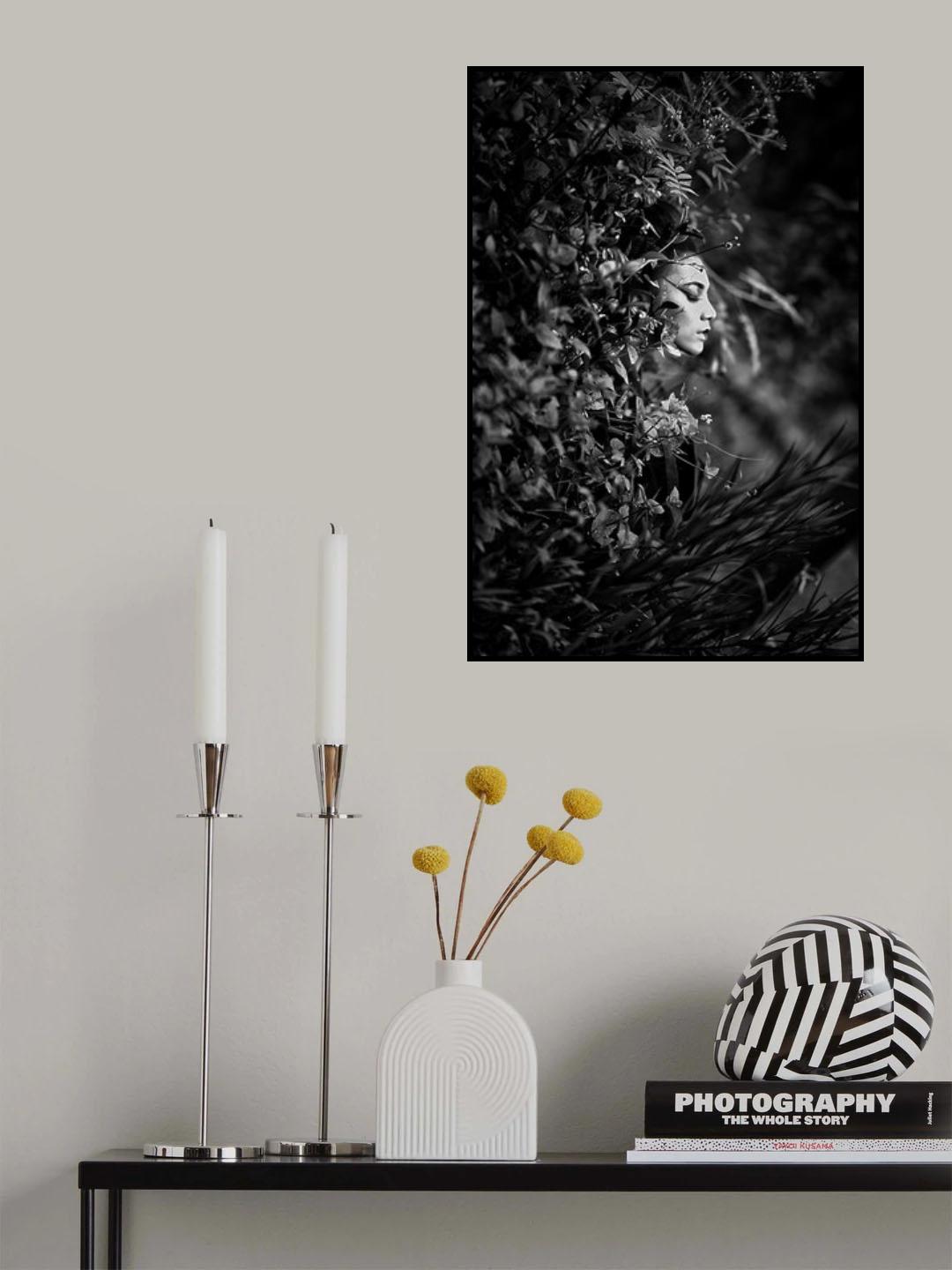 harmoni Poster och Canvastavla