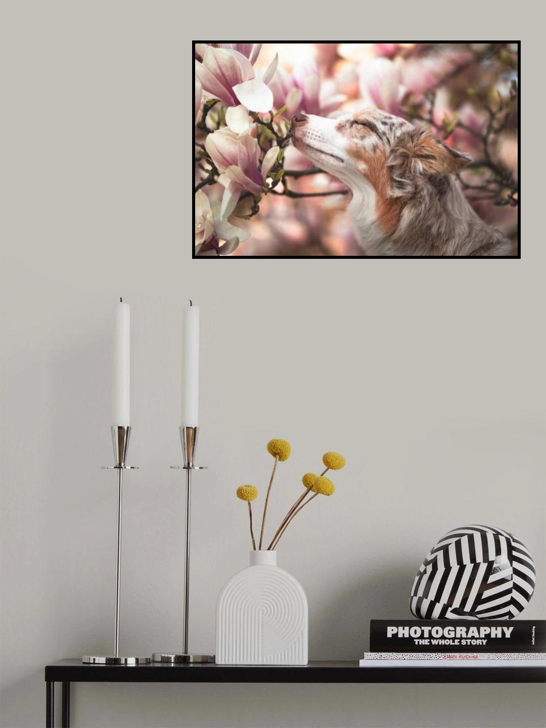 Dawn of Blossom Poster och Canvastavla