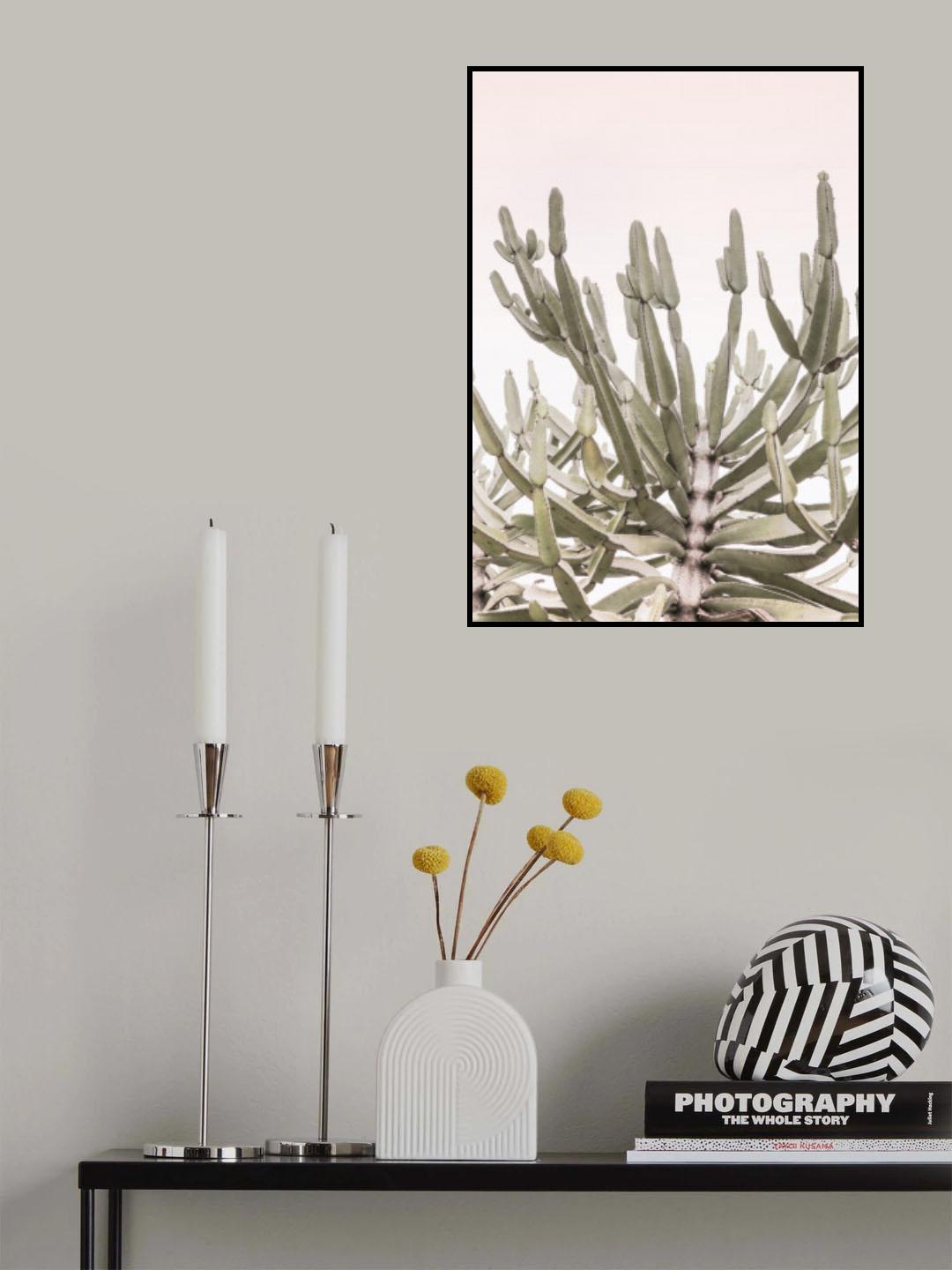Zululand Poster och Canvastavla