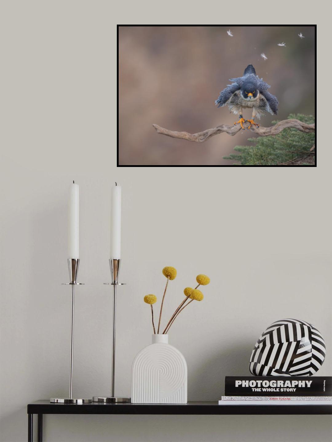 Shake it off Poster och Canvastavla
