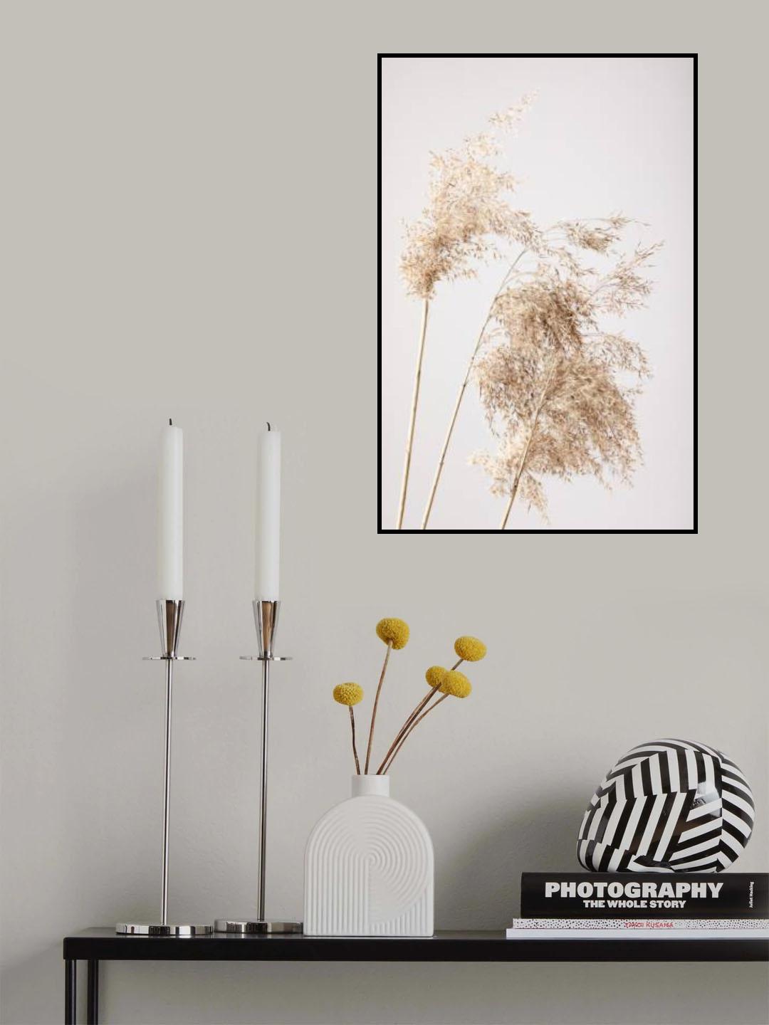 Reed Grass Grey 07 Poster och Canvastavla