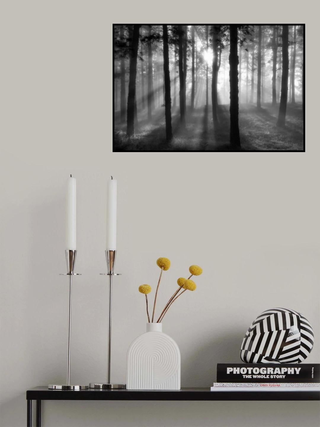 wood Poster och Canvastavla