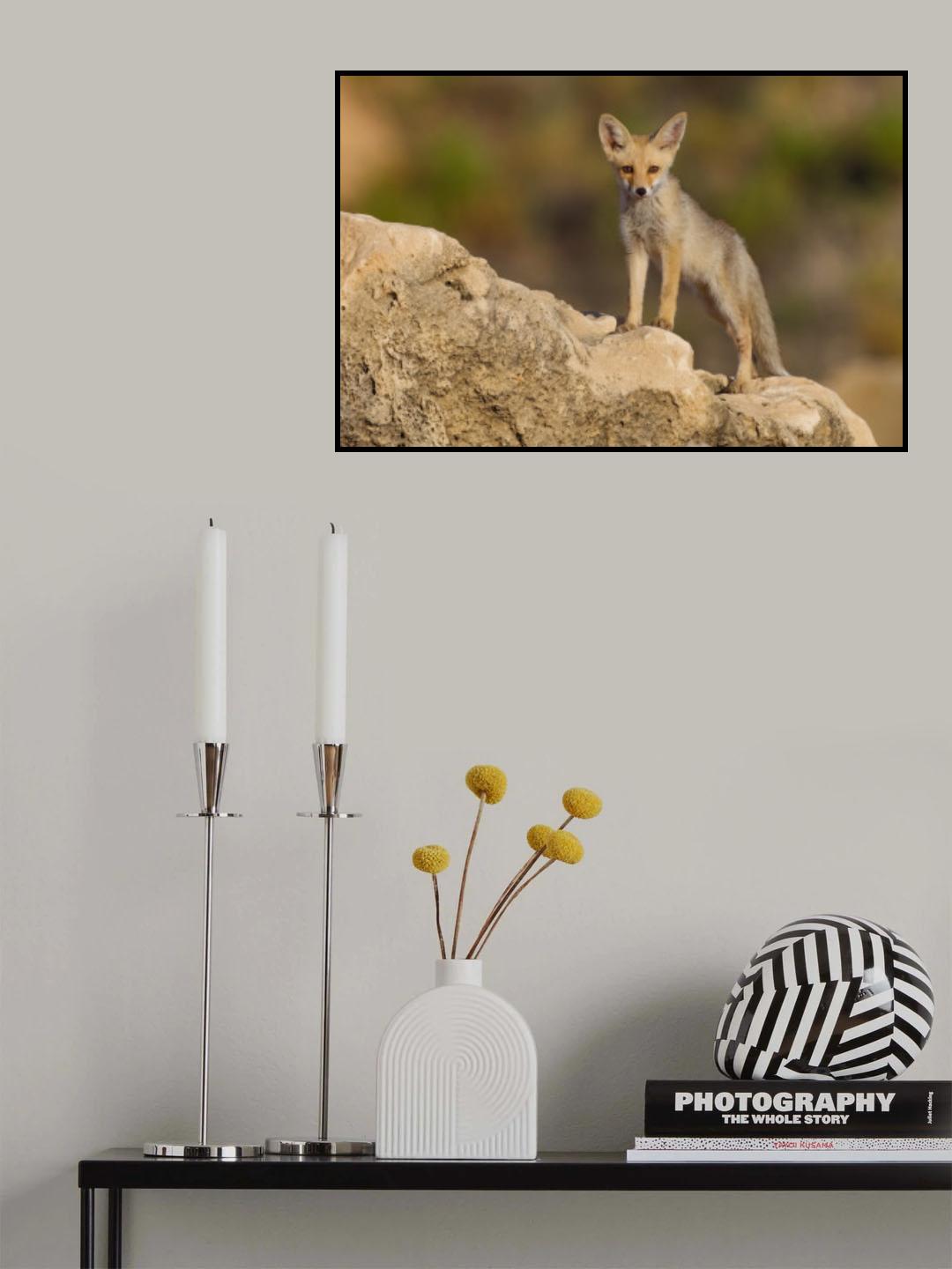 Fox family Poster och Canvastavla