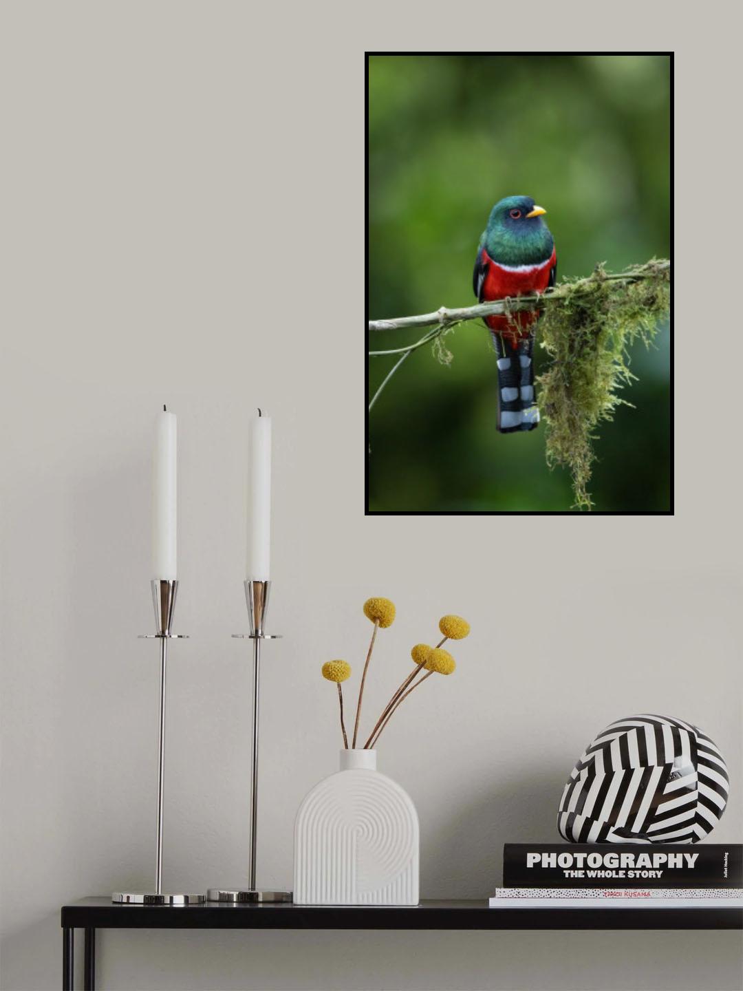 Resting Poster och Canvastavla