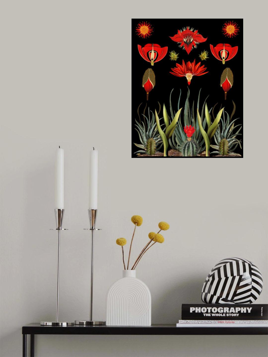 Cactus Invention.png Poster och Canvastavla