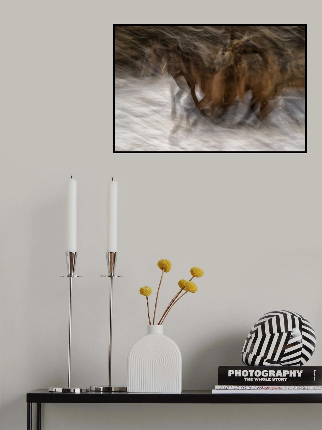 displayd Poster och Canvastavla