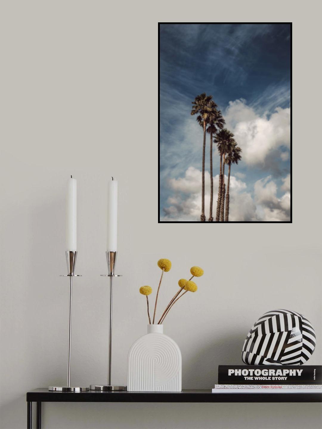 Palms and Clouds Poster och Canvastavla